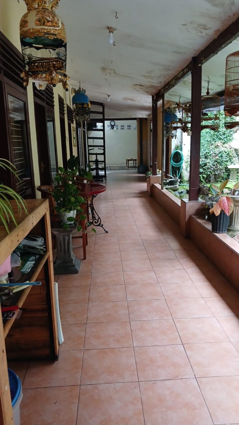 WhatsApp Image 2025-09-05 at 05.33.36