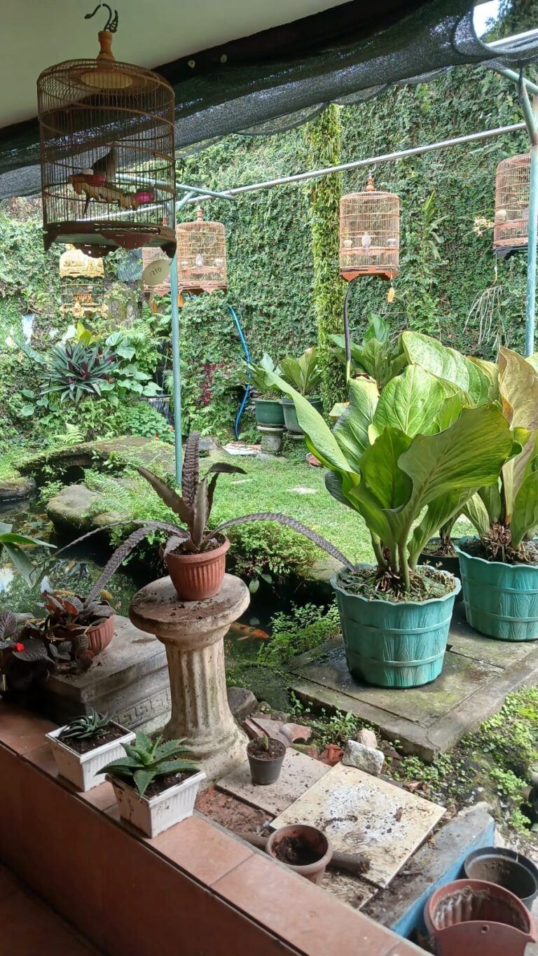 WhatsApp Image 2025-09-05 at 05.33.38